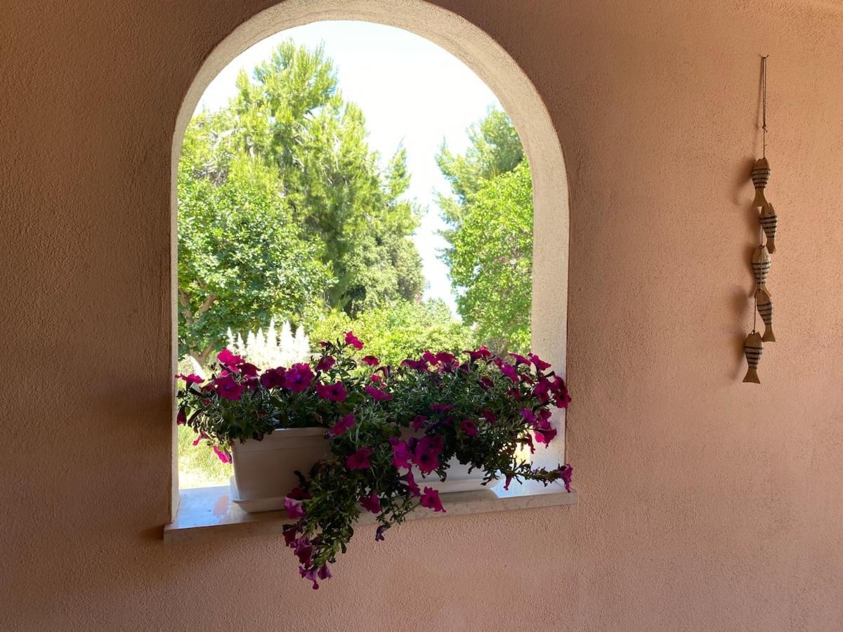 Villa Giulia - Rome — Foto 1